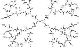 树枝状大分子